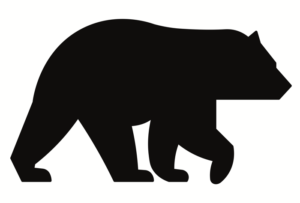 Illustration of a bear