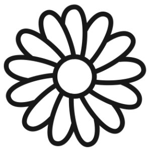 Illustration of a white gazania flower