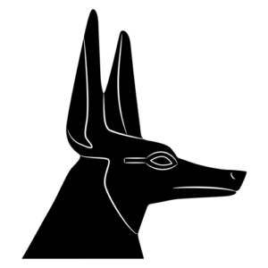 Illustration of a jackal