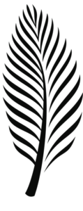 Illustration of a palm frond