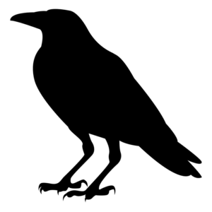 Illustration of a raven