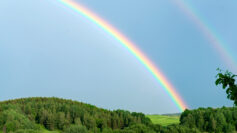 Top 7 Meanings of Seeing a Rainbow Without Rain - W is for Website