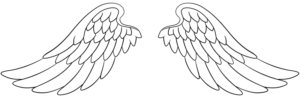 A pair of angel wings, which can be a symbol of sympathy