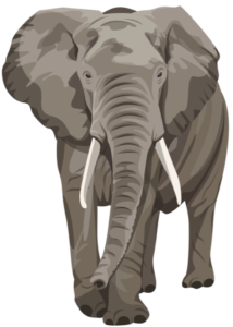 Illustration of an elephant, which symbolizes family